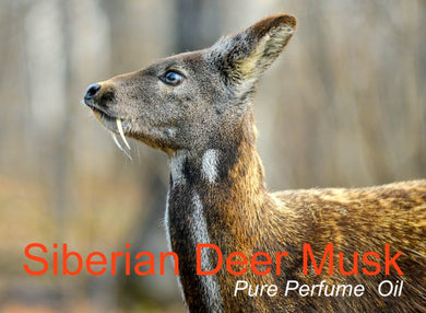 Pure Siberian Deer Musk perfume oil