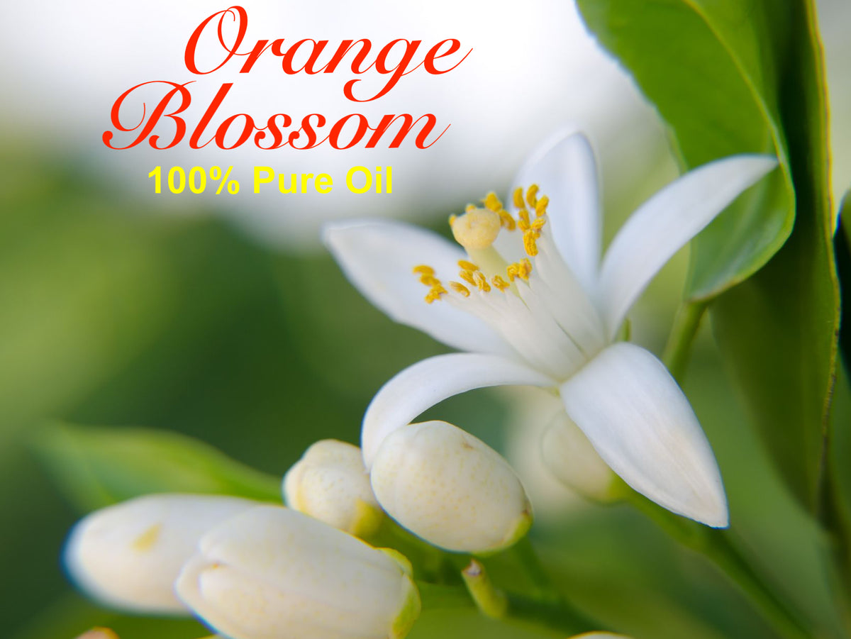 Orange Blossom Oil Absolute - Origin: Morocco Pure Undiluted