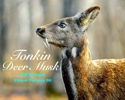 Pure Tonkin Deer Musk perfume oil