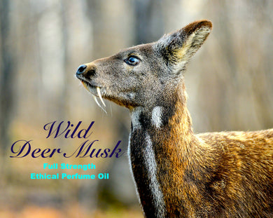 Pure Wild Deer Musk perfume oil