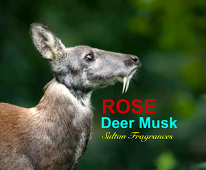 Deer Musk - "Rose Deer Musk"  Pure Oil Perfume
