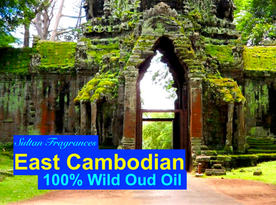 100% Pure eastern Cambodian Oud or Agarwood oil