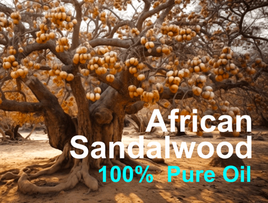 African Sandalwood - 100% Pure Steam Distilled Oil