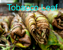 Load image into Gallery viewer, Tobacco Leaf Essential oil - 100% Pure  Perfume Grade Oil