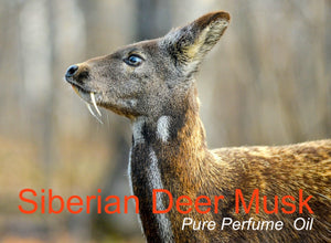 Deer Musk - "Siberian Deer Musk"  Pure Oil Perfume