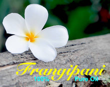 Load image into Gallery viewer, Frangipani - 100% Absolute Oil