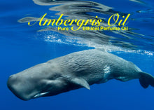 Load image into Gallery viewer, Amber/Ambergris Pure Perfume Oil - &quot;Pure Ambergris Oil&quot; A Grade