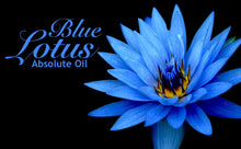 Load image into Gallery viewer, Blue Lotus - 100% Absolute Oil