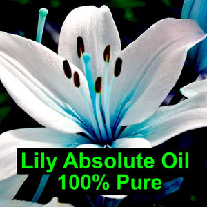Lily Absolute - 100% Pure Premium Oil