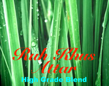 Load image into Gallery viewer, Vetiver Oil (Ruh Khus) - Attar