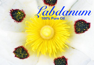 Labdanum Absolute - 100% Pure Perfume Grade