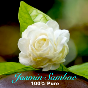 Jasmin Sambac - Pure Perfume Oil