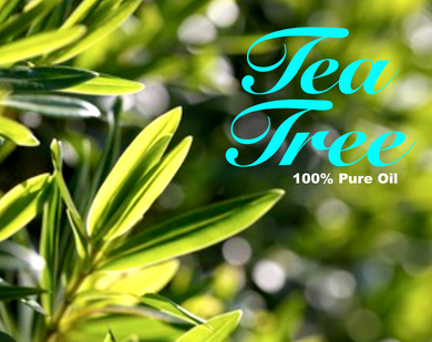 Tea Tree Oil - High Grade 100% Pure Australian Oil