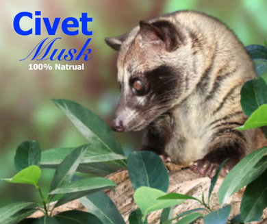 Civet Musk -100% Pure Civet Perfume Oil