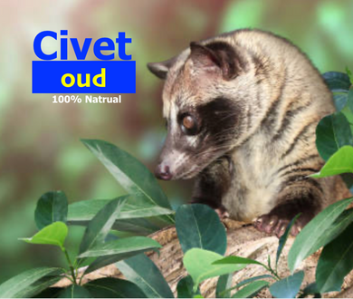 Civet Oud - 100% Natural Oil Perfume