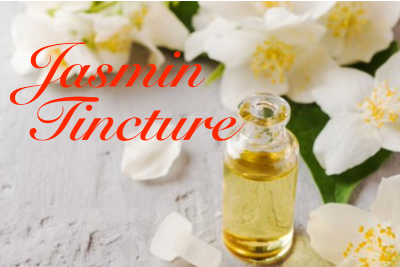 Small glass bottle with essential jasmine oil (tincture, infusion, perfume)  on the white background. Jasmine flowers close up. Aromatherapy, spa and  herbal medicine ingredients. Side view, copy space. Stock Photo