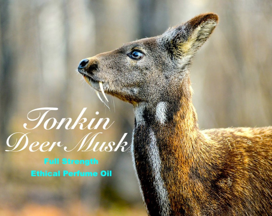 Deer Musk - 
