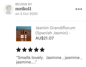 Jasmin Grandiflorum - "Spanish Jasmin"