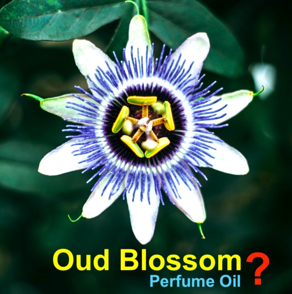 Sultan Fragrances Exclusive Blend “Oud Blossom?” - Pure Perfume Oil