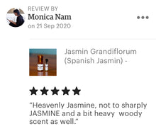 Load image into Gallery viewer, Jasmin Grandiflorum - &quot;Spanish Jasmin&quot;