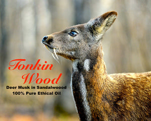 Deer musk - “Tonkin Wood” Pure Perfume Oil