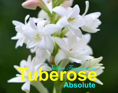 Tuberose Oil - 100% Pure Absolute Oil
