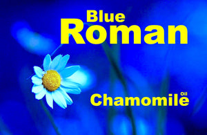 Chamomile - Blue Roman 100% Pure Oil